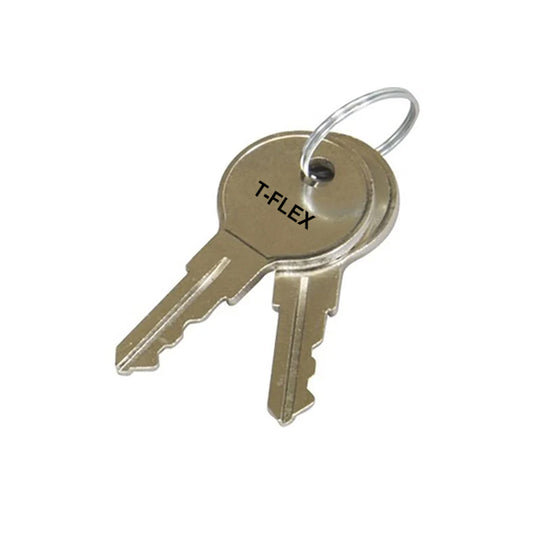 Two metal Telequip Coin Dispenser Keys by ALS are shown on a silver keyring against a white background.